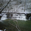 Camp Creek State Park & Forest - Campgrounds & Recreational Vehicle Parks
