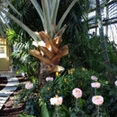 Howard Peters Rawlings Conservatory & Botanic Gardens - Botanical Gardens