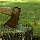 Davison Stump Removal - Stump Removal & Grinding