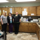 Partners in Pediatrics