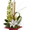 Plumeria Botanical Boutique gallery