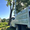 All Green Tree Service gallery