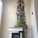 Tampa Bay Mold Testing Service - Mold Remediation