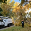 Brett's Tree Service gallery