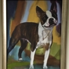 American Kennel Club gallery