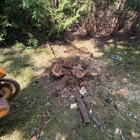 Sam's Tree Service