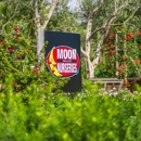 Moon Valley Nurseries - Nurseries-Plants & Trees