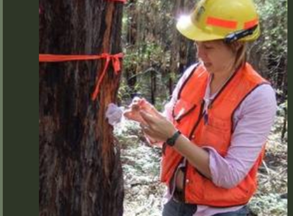 Local Environmental Solutions - Tura Beach, NSW