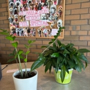 VCA Boulder Terrace Animal Hospital - Pet Services