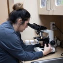 Fox Creek Veterinary Hospital - Veterinarian Emergency Services