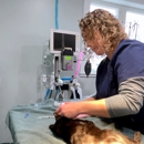 Wildlife Control Richmond - Animal Removal Services