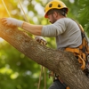 Cruz Tree Services gallery