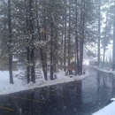 Honey Bear Lodge & Cabins
