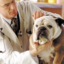 Oceanview Veterinary Hospital - Veterinary Clinics & Hospitals
