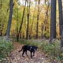 Richard Young Forest Preserve - National Parks