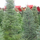 Christmas Tree Lot at Moon Valley Nurseries - Buda - Farms