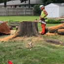 Astorino's Tree Service - Arborists