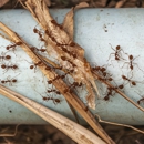 Ade's Pest Control Services - Pest Control Equipment & Supplies