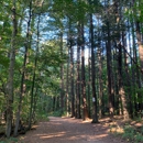 Middlesex Fells Reservation - Dog Parks