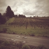 Lynmar Estate Winery gallery