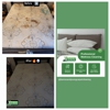 Barnes & Young Carpet Cleaning gallery