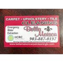 Bella Maison Carpet Cleaning & Restoration Services - Upholstery Cleaners