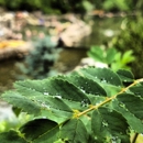 Strawberry Park Natural Hot Springs