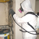 Mold Doctor LLC - Mold Remediation