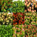Deb's Flower Market - Florists