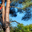 GE Tree Service - Tree Service