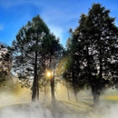 Blackberry Inn Yosemite - Bed & Breakfast & Inns