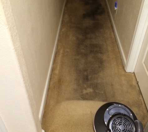 Brandon's Carpet Cleaning - Yuba City, CA