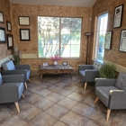 VCA Premier Animal Hospital and Pet Resort