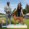 Companion Pet Clinic gallery