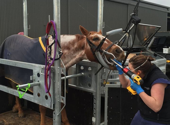 Drouin Veterinary Clinic - Drouin, VIC