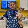 VCA Woodland Central Animal Hospital gallery