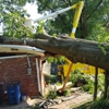 Tennessee Valley Tree Service gallery