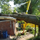 Tennessee Valley Tree Service - Tree Service