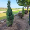 JDW Enterprise's LLC gallery