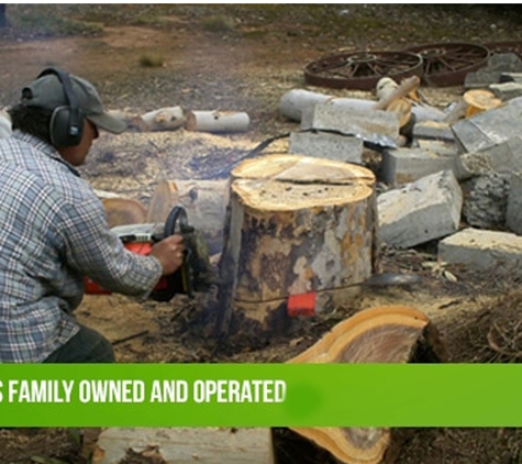 MSZ Tree Lopping Service. The Business Is Family Owned And Operated