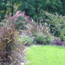 Dream Gardens Landscape Design