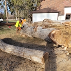 Elias Landscaping Services