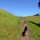 Outdoor Pet Care Dog Walkers - Pet Sitting & Exercising Services