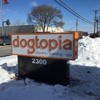 Dogtopia Of Birmingham gallery