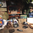 Gold Rush Resort Rentals