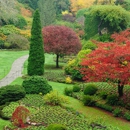 Lawnscapes, Inc. - Gardeners