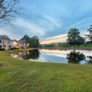 The Pointe Apartment Homes - Apartments