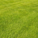 Mow - N - Snow - Landscaping & Lawn Services