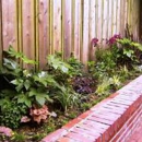 Mediterrasian Landscapes - Landscaping & Lawn Services