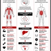 Gameday Men’s Health Wexford, PA gallery